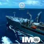 International Maritime Organization
