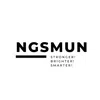 Model United Nations in the New Generation school