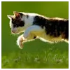 Helin TurhanProfile Picture