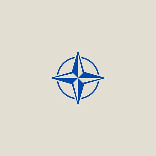 North Atlantic Treaty Organisation (NATO)
