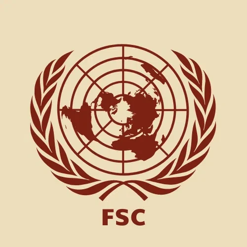 Future Security Council (FSC)