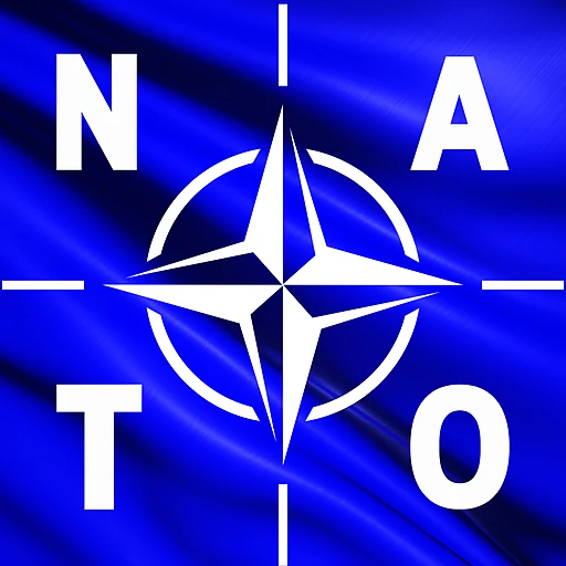 Model•NATO Malta 2025 logo