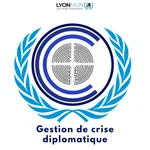 Gestion de crise diplomatique - Français Avancé
