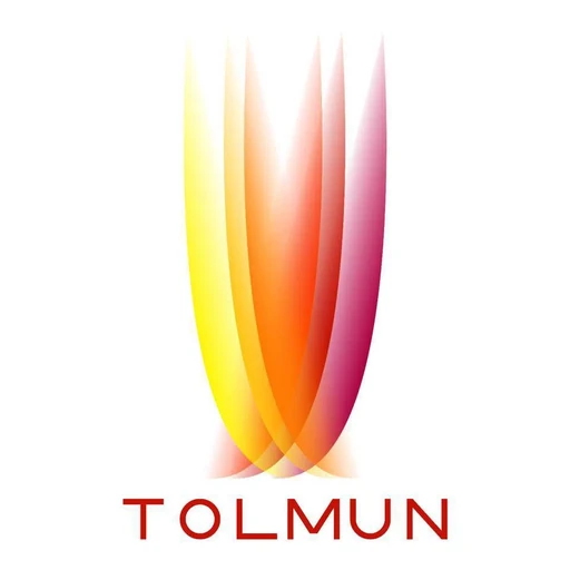 TecTolMUN 2019 logo