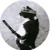 Bartek ŁucjanProfile Picture