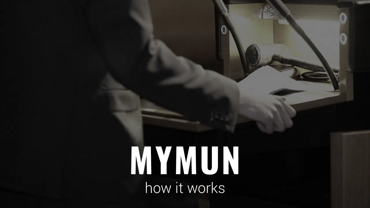 AXMUN 2018