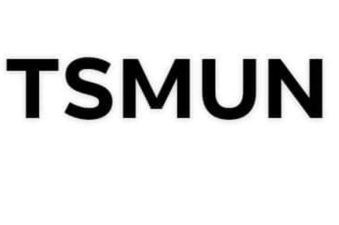 TSMUN 2020