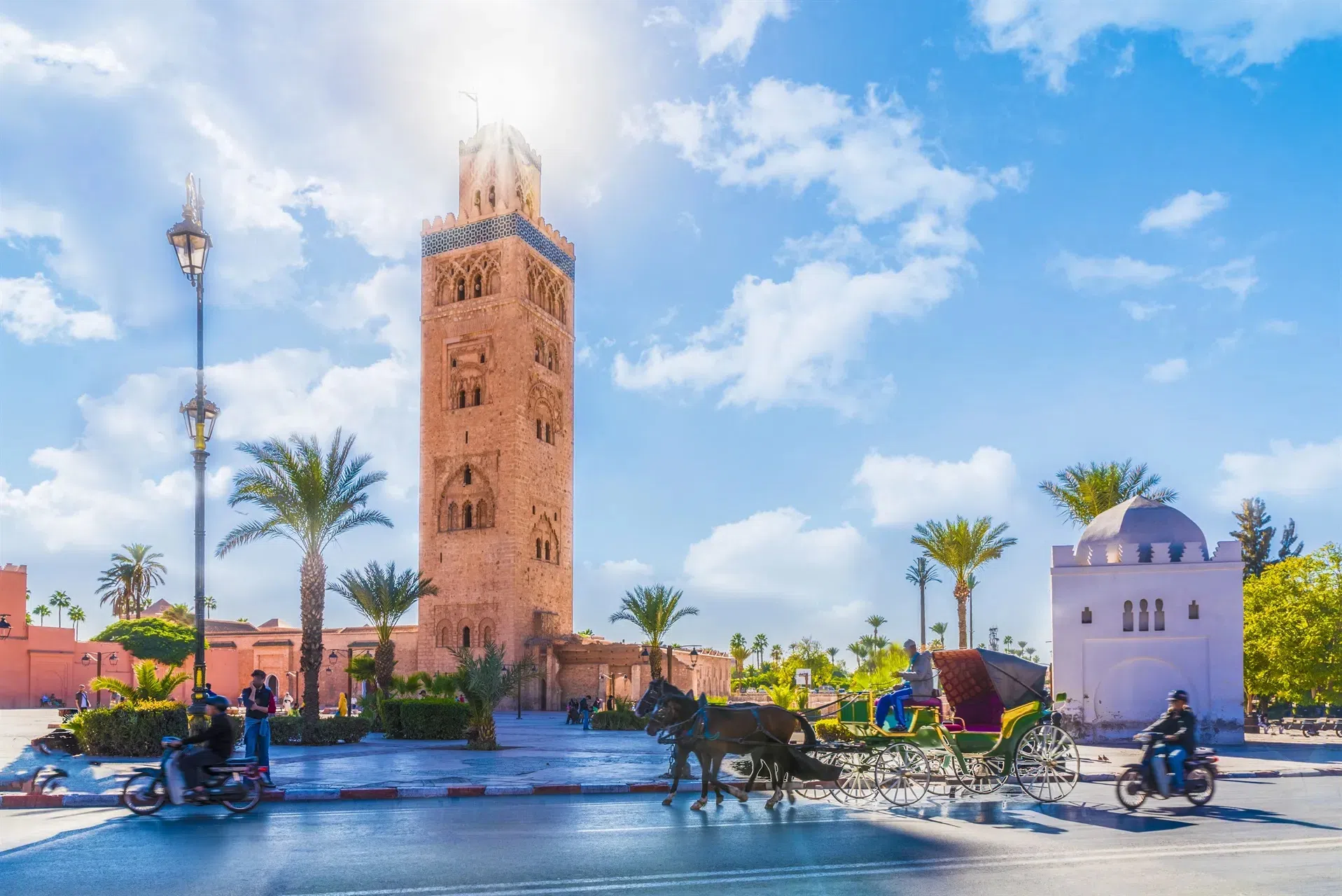 MOROCCO MUN - FWWMUN Marrakech 2022
