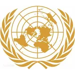 联合国安全理事会军事特别会议