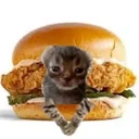 Thomas Michael HillProfile Picture