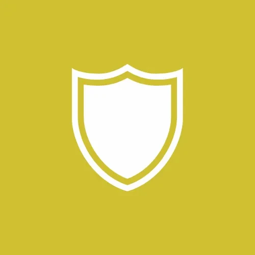 Security Council