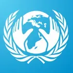 Economic and Social Council (ECOSOC)