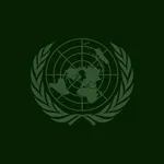 United Nations Security Council (UNSC)