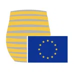 Council of the European Union (Intermediate)