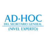 AD HOC DEL SECRETARIO GENERAL