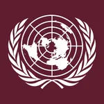 Economic and Social Council (ECOSOC)