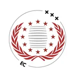 European Council