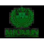MEDMUN 2019Logo