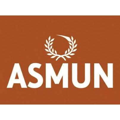 I ASMUN 2025 logo