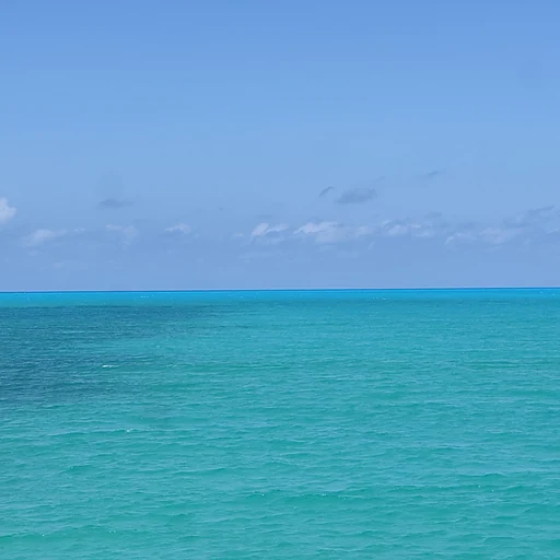 Youssef Farrag