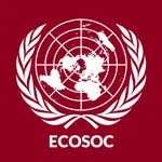 Economic and Social Council (ECOSOC)