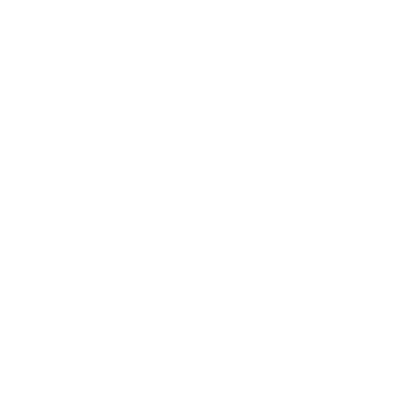 YliMUN 2020