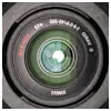 Leon Norman-HaaviProfile Picture