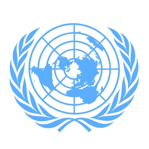 United Nations Security Council