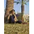 Muhammad Arhum Shafique Profile Picture