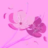 Momina Khalid