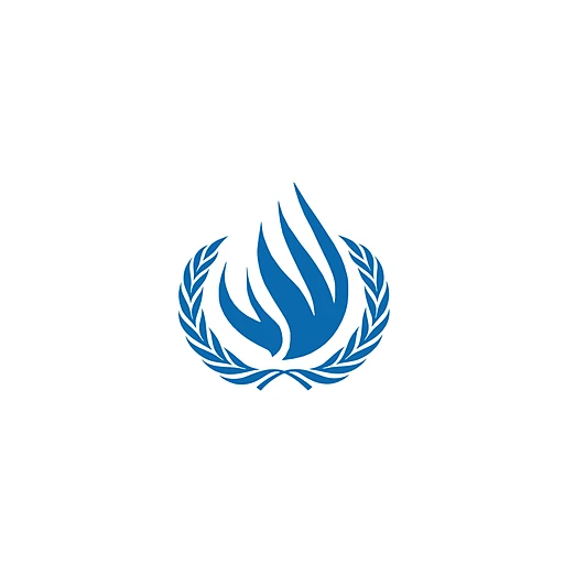 Human Rights Council