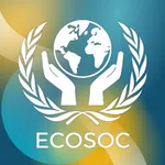 Economic and Social Council (ECOSOC)