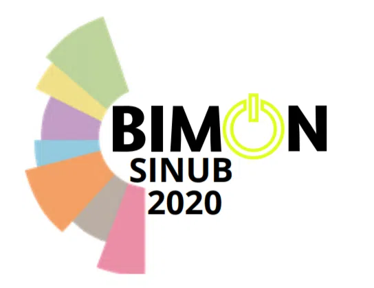 BIMUN/SINUB 2021