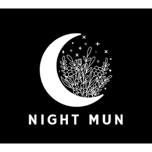 NightMUN 2025 logo