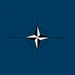 North Atlantiс Treaty Organization  (NATO)