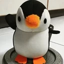 David KohProfile Picture