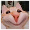 Kia luhurProfile Picture