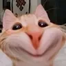 Kia luhurProfile Picture