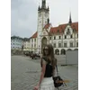 Zuzanna GrabarczykProfile Picture