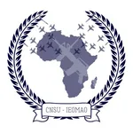 Crise: CSNU sur l’ingérence étrangère et les opérations mercenaires en Afrique de l'Ouest