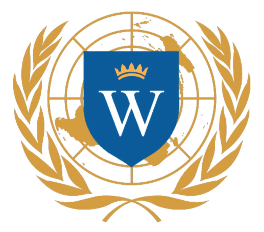 WSOMUN 2018