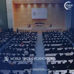 World Trade Organization (WTO)