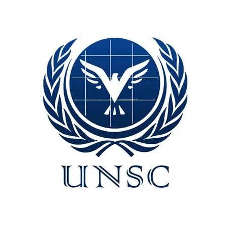 United Nations Security Council (UNSC)