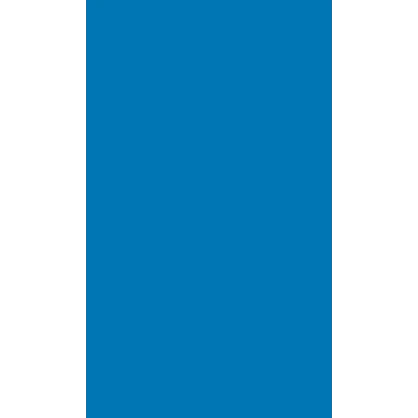 SIMUN 2018 logo