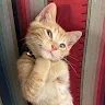 Unnati Gupta