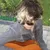 Aleks MusijowskiProfile Picture