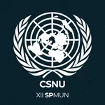 CSNU - Conflito entre Israel e Palestina