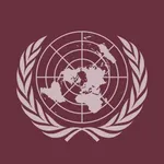 Economic and Social Council (ECOSOC)