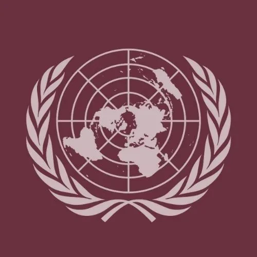 Economic and Social Council (ECOSOC)
