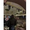 Marjona YuldashevaProfile Picture